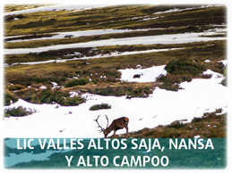 LIC Valles Altos Saja, Nansa y Alto Campoo
