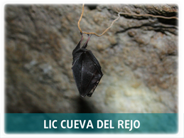 LIC Cueva del Rejo