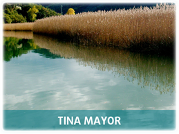Tina Mayor