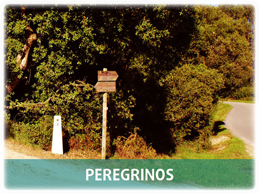 Peregrinos