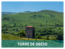 Torre de Obeso