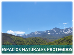 Espacios Naturales Protegidos