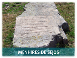 Menhires de Sejos