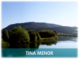 Tinamenor