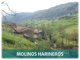 Molinos Harineros