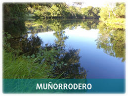 Muñorrodero