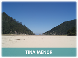 Tina Menor