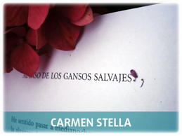 Carmen Stella