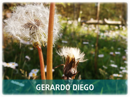 Gerardo Diego