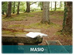 Masio/Cachimbo