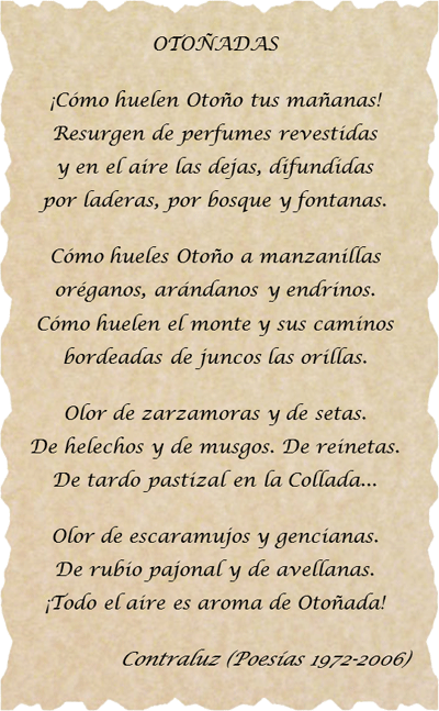 Texto Carmen Stella
