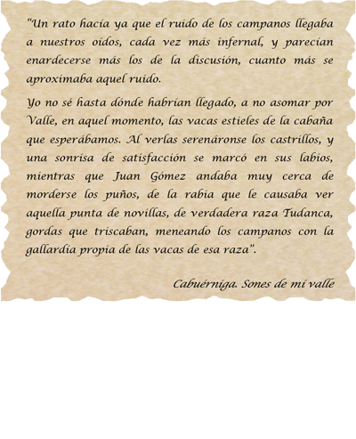 Texto Delfín