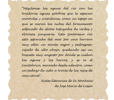 Texto Tina Menor