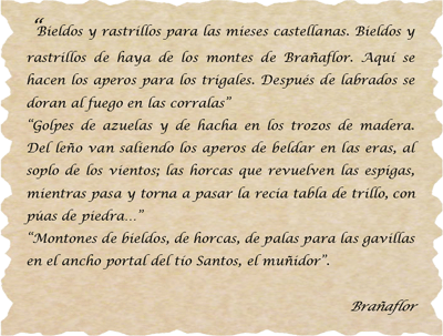 Texto Manuel Llano