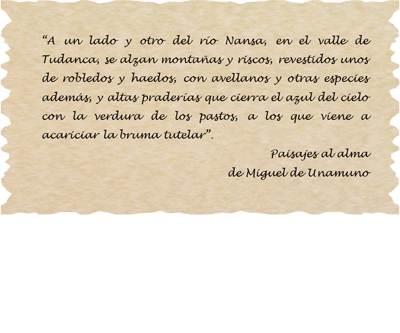 Texto Tudanca
