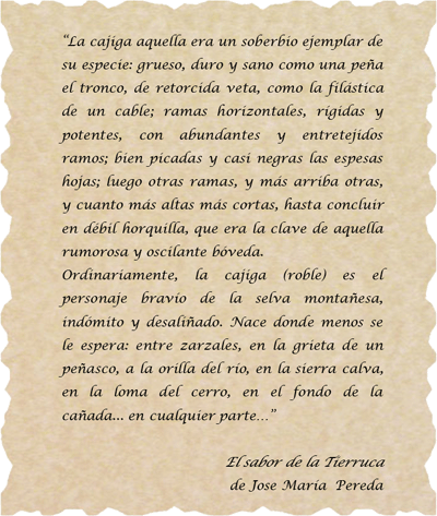 Texto Ucieda