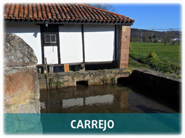 carrejo