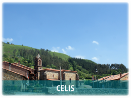 celis