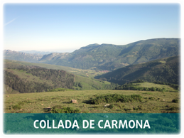 Collada de Carmona