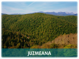 Juzmeana