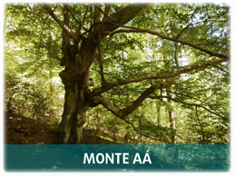 Monte Aá