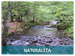 Naturaleza