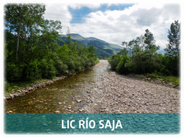 riosaja