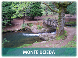 Monte de Ucieda