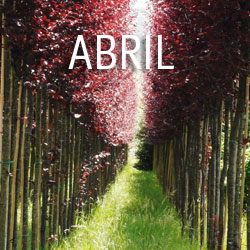 Abril