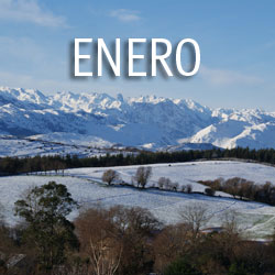 Enero