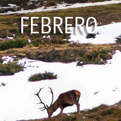 Febrero