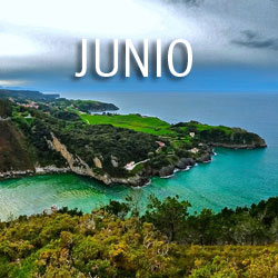 Junio