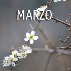 Marzo