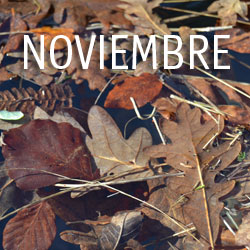 Noviembre