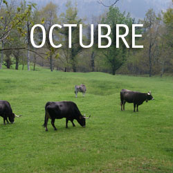 Octubre