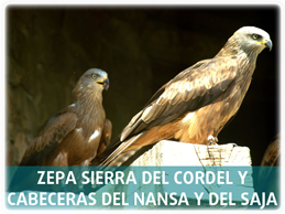ZEPA PeñaSagra