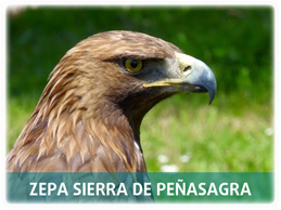 ZEPA PeñaSagra