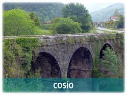 Cosío