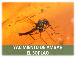 Yacimiento del Ámbar