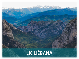 LIC Liebana