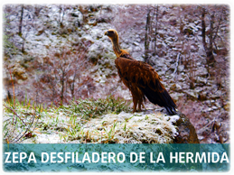 ZEPA Desfiladero de la Hermida